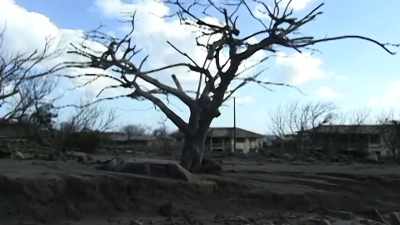 SILCOTT: Many, almost all Montserratians
were displaced. - Under the Volcano