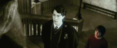 Silence, Wood. - Harry Potter and the Chamber of Secrets