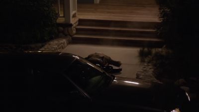 [silenced gunshot] - Twin Peaks