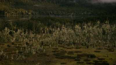SILVA: Land, riches, power. - Origins: The Journey of Humankind