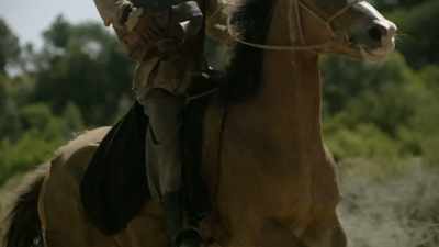 SILVA: The great Khan
did not get the answer - Origins: The Journey of Humankind