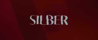 SILVER AND THE BOOK OF DREAMS - Silver and the Book of Dreams