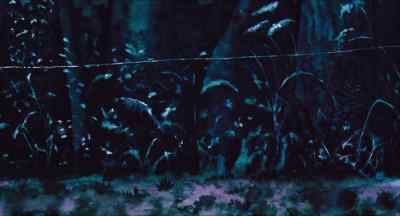 Silver, Bigwig, get your nose under it.
Push it out. - Watership Down