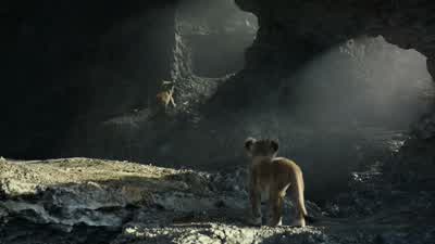 Simba, get down! - The Lion King