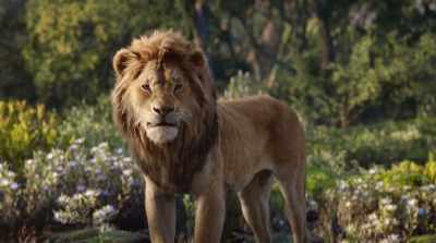 (SIMBA SIGHS) - The Lion King