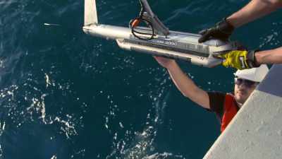 SIMCHA: Practically blinded,
they follow the anchor
line down to the bottom. - Atlantis Rising