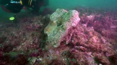 SIMCHA: Professor Rodrigues
discovered this place in 2014. - Atlantis Rising