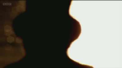 Simon Schama makes a strong case - Art on the BBC