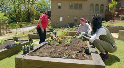 - [Simone] Yes
- ...and protect the soil - Homegrown