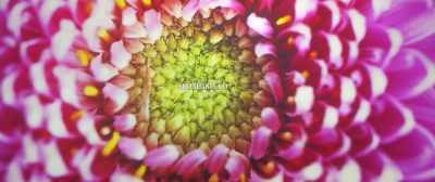 Simply put, we have a long
way to go to understand - Altered Perceptions