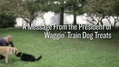 Since 2007, the fda
has extensively tested - Pet Fooled
