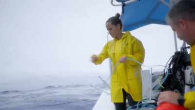 Since 2016, with my colleague,
Jess Cramp, from Sharks Pacific, - Protecting Paradise: The Story of Niue