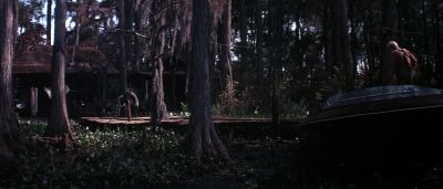 Since that boy got back from that place - Gator