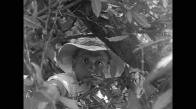 Since I started filming in the 1950s, - David Attenborough: A Life on Our Planet