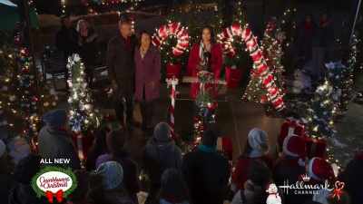 Since our founding, - A Christmas Tree Grows in Colorado