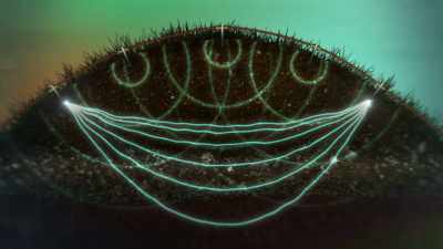 Since the conductivity
of various materials is different, - Secrets of the Underground