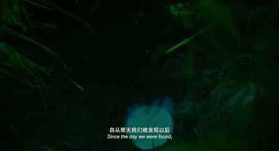 Since the day we were found out... - Long Day's Journey into Night