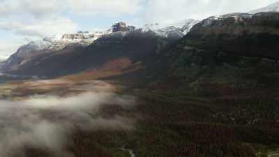 Since the first mass outbreak 40
years ago, - The Green Planet