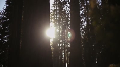 Since the June solstice, - A Year on Planet Earth