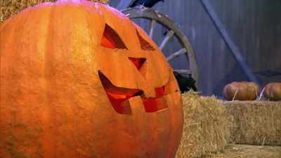 Since the pumpkin
is the world's most - Halloween Cookie Challenge