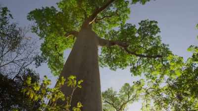 Since these pictures were recorded, - Our Planet