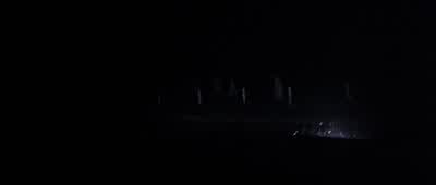 Since when did they let them wander around? - Halloween