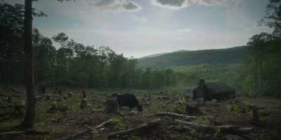 [sing-songy]:
Mari, Mari, - Barkskins