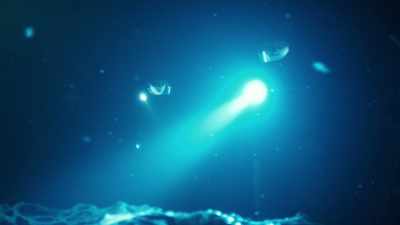 Singer:
...all kind of sutured together - James Cameron's Story of Science Fiction