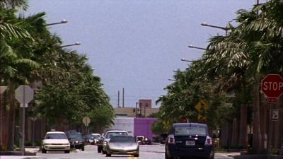 ** [ Singing Continues,
Indistinct ] - Burn Notice