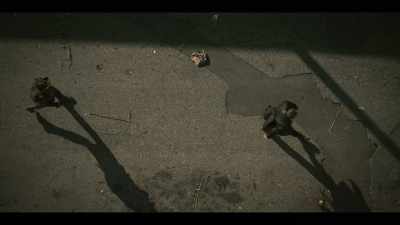 [sinister music] - The Walking Dead: Dead City
