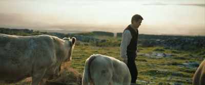SIOBHAN: Dear Padraic, - The Banshees of Inisherin