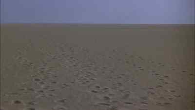 Sir, at last we got them
where we want them. - Lion of the Desert