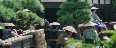 Sir Hyogo and you are always together - Sekigahara
