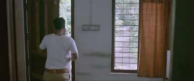 Sir, it was excellent tapioca plant.
Extremely lush - Jallikattu