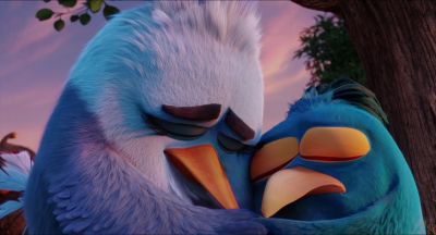 Sir. Ma'am. - The Angry Birds Movie