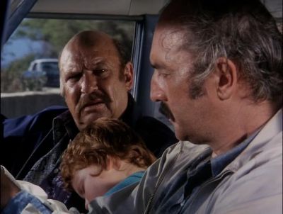 SIR, MAY I SEE YOUR
DRIVER'S LICENSE, PLEASE? - Hawaii Five-0