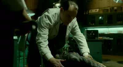 Sir we need to get him back in the water - The Shape of Water