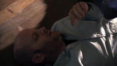 Sir, we're paramedics. - House