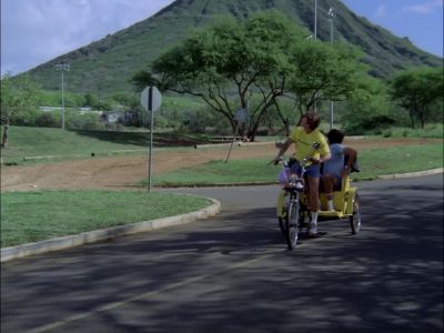 [ SIREN WAILS ] - Hawaii Five-O
