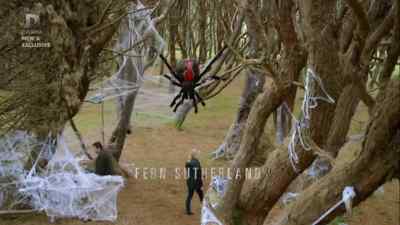 (SIREN WAILS) - The Brokenwood Mysteries