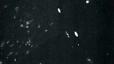 (sirens wailing) - Black in Space: Breaking the Color Barrier