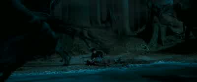 - Sirius. - Harry Potter and the Prisoner of Azkaban