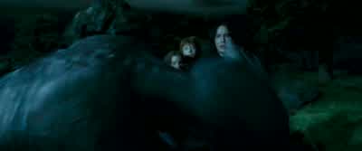 Sirius! - Harry Potter and the Prisoner of Azkaban