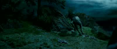 Sirius! - Harry Potter and the Prisoner of Azkaban