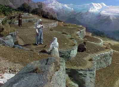 Sister? - Black Narcissus