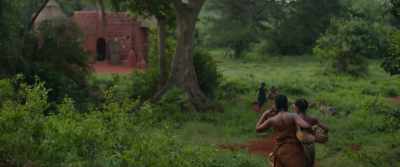 -Sister! Sister!
-Nawi. - The Woman King