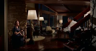 As soon as the plane leaves, my husband and Mr. - North by Northwest