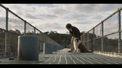 Sit. Sit. Good boy. - The Messenger