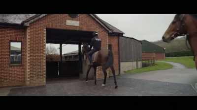 Sit tight. These are all cantering.
They're going to be wild. - Horsepower