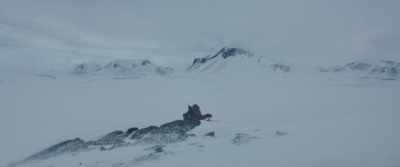 Six. Eight. Ten. - Arctic